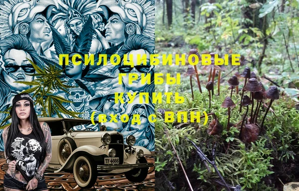 прущая мука Балахна