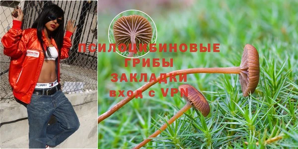 прущая мука Балахна