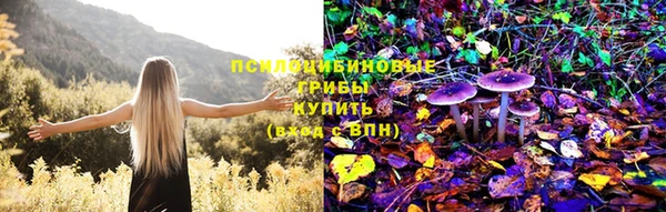 каннабис Баксан