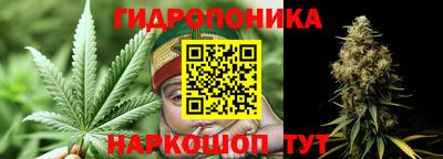 PSILOCYBIN Будённовск