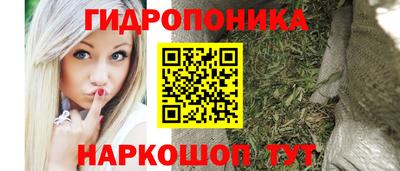 PSILOCYBIN Будённовск
