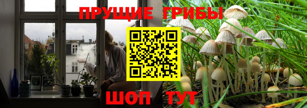 Галлюциногенные грибы Magic Shrooms Асбест