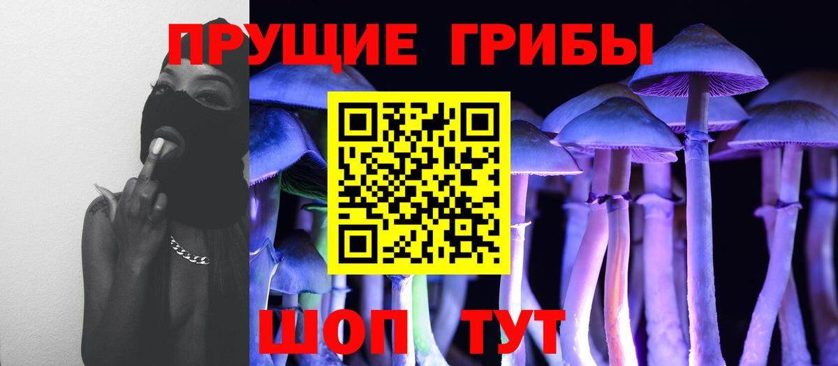 Галлюциногенные грибы Cubensis  где можно купить   Асбест 