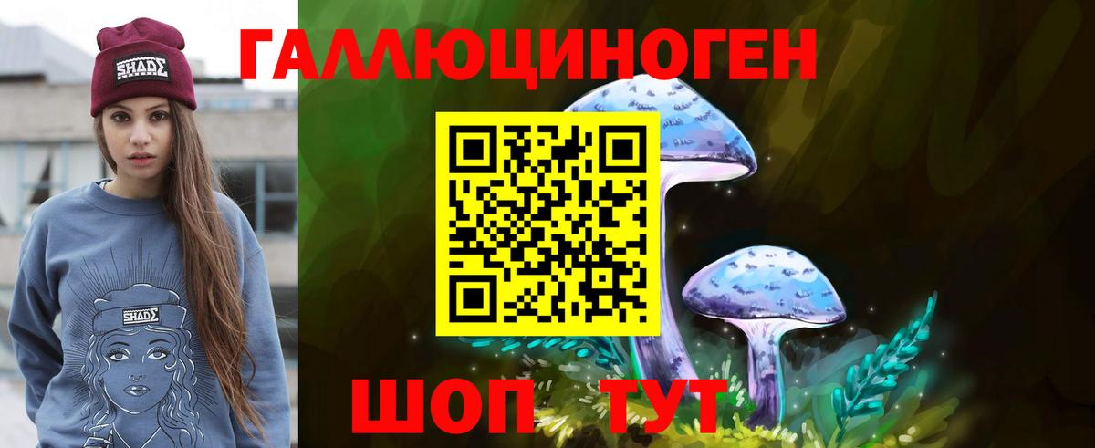 Псилоцибиновые грибы Psilocybe Асбест